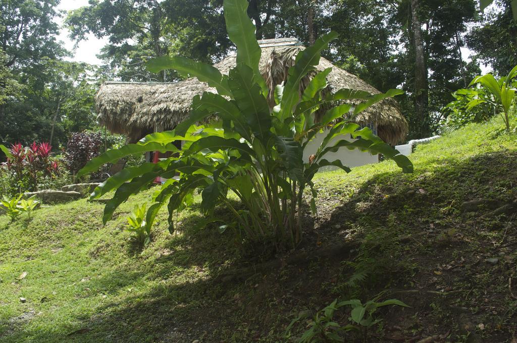 La Magia Bungalows Puerto Viejo de Talamanca Ngoại thất bức ảnh